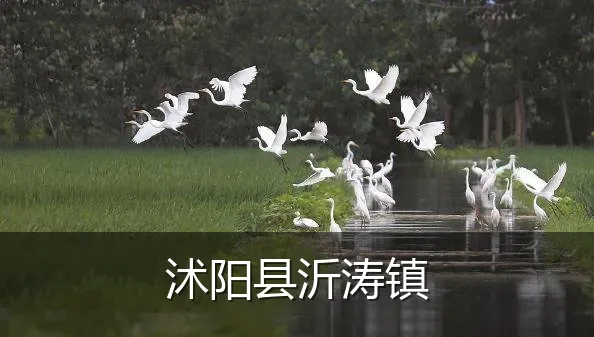 沭阳县沂涛镇